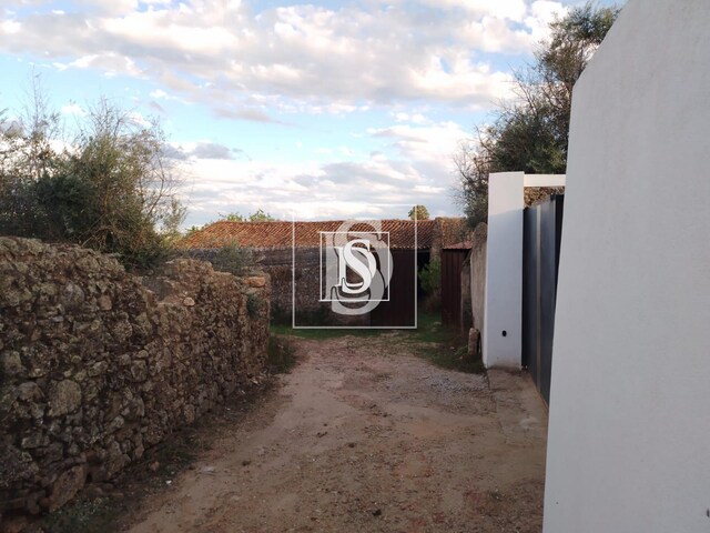 Terreno Rústico T0 - Espírito Santo, Nisa, Portalegre - Imagem grande