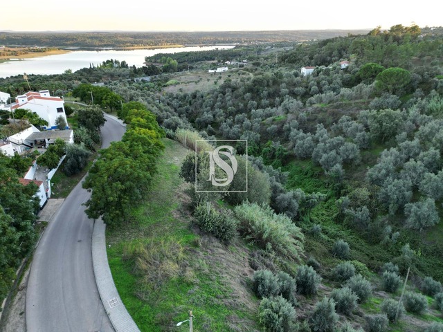 Terreno R�stico T0 - Montargil, Ponte de Sor, Portalegre - Imagem grande