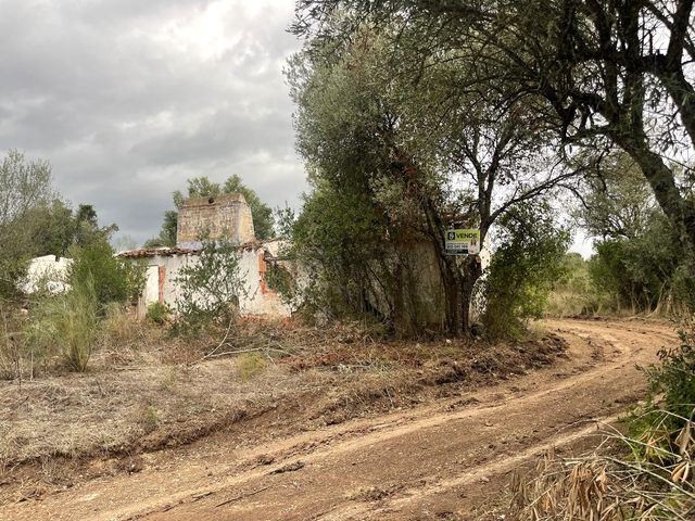 Moradia T4 - Montargil, Ponte de Sor, Portalegre - Imagem grande