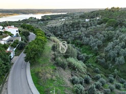 Terreno R�stico T0 - Montargil, Ponte de Sor, Portalegre