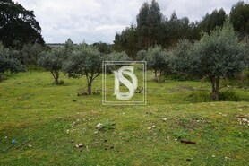 Moradia T3 - Santa Margarida da Coutada, Const�ncia, Santar�m - Miniatura: 23/26