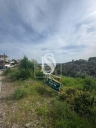 Terreno R�stico T0 - Montargil, Ponte de Sor, Portalegre - Miniatura: 1/8