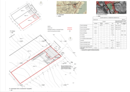 Terreno R�stico T0 - Montargil, Ponte de Sor, Portalegre - Miniatura: 2/8