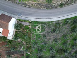 Terreno R�stico T0 - Montargil, Ponte de Sor, Portalegre - Miniatura: 3/8