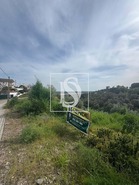 Terreno R�stico T0 - Montargil, Ponte de Sor, Portalegre - Miniatura: 8/8