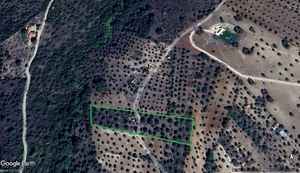 Moradia T4 - Montargil, Ponte de Sor, Portalegre - Miniatura: 1/29