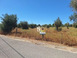 Quinta T2 - Ponte de Sor, Ponte de Sor, Portalegre - Miniatura: 3/24