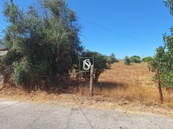 Quinta T2 - Ponte de Sor, Ponte de Sor, Portalegre - Miniatura: 9/24