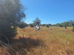 Quinta T2 - Ponte de Sor, Ponte de Sor, Portalegre - Miniatura: 10/24