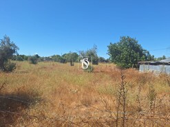 Quinta T2 - Ponte de Sor, Ponte de Sor, Portalegre - Miniatura: 12/24