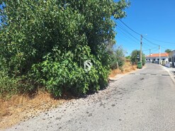 Quinta T2 - Ponte de Sor, Ponte de Sor, Portalegre - Miniatura: 16/24