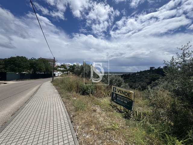 Terreno R�stico - Montargil, Ponte de Sor, Portalegre - Imagem grande