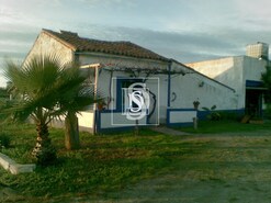 Terreno Rstico T0 - Esprito Santo, Nisa, Portalegre