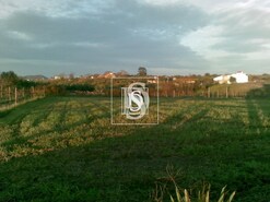 Terreno Rstico T0 - Esprito Santo, Nisa, Portalegre - Miniatura: 1/26