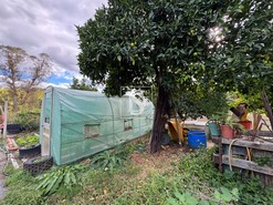 Moradia T3 - Tramaga, Ponte de Sor, Portalegre - Miniatura: 22/60