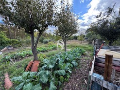 Moradia T3 - Tramaga, Ponte de Sor, Portalegre - Miniatura: 24/60