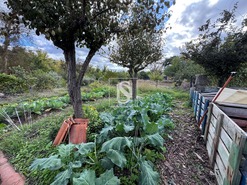 Moradia T3 - Tramaga, Ponte de Sor, Portalegre - Miniatura: 25/60