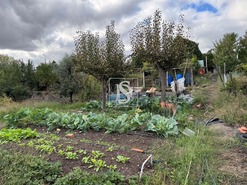 Moradia T3 - Tramaga, Ponte de Sor, Portalegre - Miniatura: 31/60