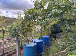 Moradia T3 - Tramaga, Ponte de Sor, Portalegre - Miniatura: 32/60