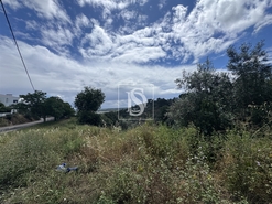 Terreno R�stico - Montargil, Ponte de Sor, Portalegre - Miniatura: 5/6