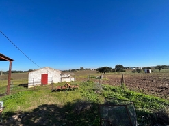 Quinta T2 - Fronteira, Fronteira, Portalegre - Miniatura: 14/44