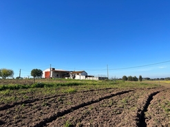 Quinta T2 - Fronteira, Fronteira, Portalegre - Miniatura: 15/44