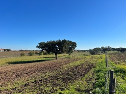 Quinta T2 - Fronteira, Fronteira, Portalegre - Miniatura: 19/44