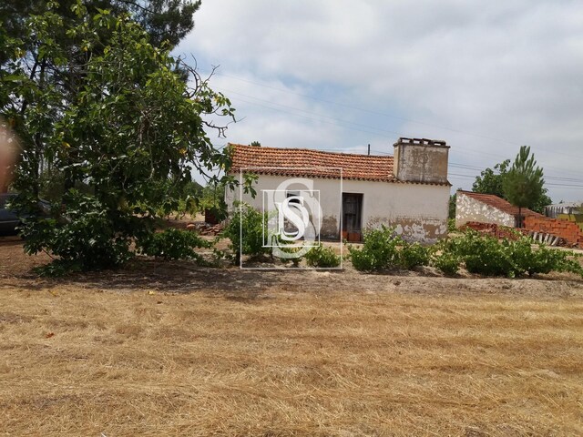 Quinta T0 - Coruche, Coruche, Santarm - Imagem grande