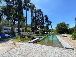 Quinta T4 - Ponte de Sor, Ponte de Sor, Portalegre - Miniatura: 5/57