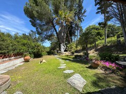 Quinta T4 - Ponte de Sor, Ponte de Sor, Portalegre - Miniatura: 22/57