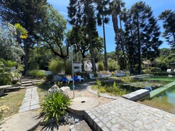 Quinta T4 - Ponte de Sor, Ponte de Sor, Portalegre - Miniatura: 31/57