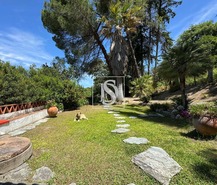 Quinta T4 - Ponte de Sor, Ponte de Sor, Portalegre - Miniatura: 36/57