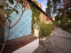 Quinta T4 - Ponte de Sor, Ponte de Sor, Portalegre - Miniatura: 43/57