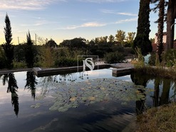 Quinta T4 - Ponte de Sor, Ponte de Sor, Portalegre - Miniatura: 45/57