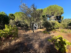 Quinta T2 - Montargil, Ponte de Sor, Portalegre - Miniatura: 28/64