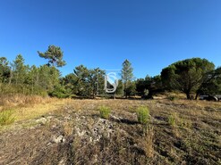 Quinta T2 - Montargil, Ponte de Sor, Portalegre - Miniatura: 33/64