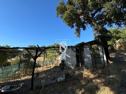 Quinta T2 - Montargil, Ponte de Sor, Portalegre - Miniatura: 34/64