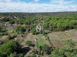 Quinta T2 - Montargil, Ponte de Sor, Portalegre - Miniatura: 55/64