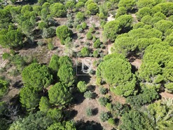 Quinta T2 - Montargil, Ponte de Sor, Portalegre - Miniatura: 56/64