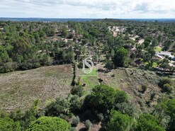 Quinta T2 - Montargil, Ponte de Sor, Portalegre - Miniatura: 57/64