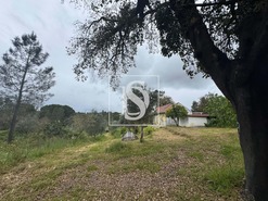 Quinta T2 - Montargil, Ponte de Sor, Portalegre - Miniatura: 59/64