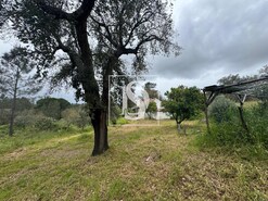 Quinta T2 - Montargil, Ponte de Sor, Portalegre - Miniatura: 60/64