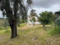 Quinta T2 - Montargil, Ponte de Sor, Portalegre - Miniatura: 62/64