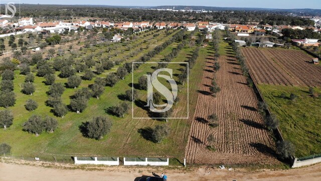 Terreno Rústico T0 - Ponte de Sor, Ponte de Sor, Portalegre - Imagem grande