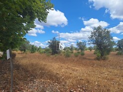 Terreno R�stico - Ponte de Sor, Ponte de Sor, Portalegre - Miniatura: 5/19