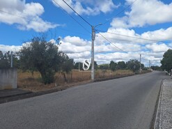 Terreno R�stico - Ponte de Sor, Ponte de Sor, Portalegre - Miniatura: 7/19