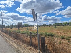 Terreno R�stico - Ponte de Sor, Ponte de Sor, Portalegre - Miniatura: 8/19