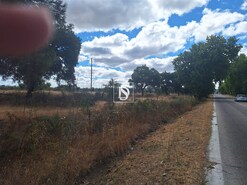 Terreno R�stico - Ponte de Sor, Ponte de Sor, Portalegre - Miniatura: 13/19
