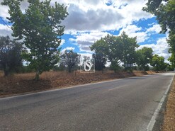Terreno R�stico - Ponte de Sor, Ponte de Sor, Portalegre - Miniatura: 16/19