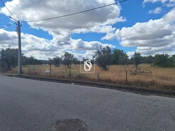 Terreno R�stico - Ponte de Sor, Ponte de Sor, Portalegre - Miniatura: 17/19
